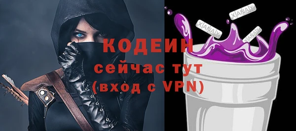 шишки Пестово