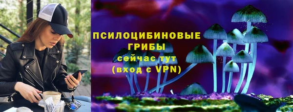 ГАЛЛЮЦИНОГЕННЫЕ ГРИБЫ Пересвет