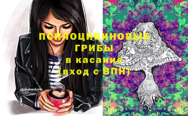 эйфоретик Баксан