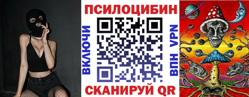 сколько стоит  Верхоянск  Псилоцибиновые грибы мицелий 